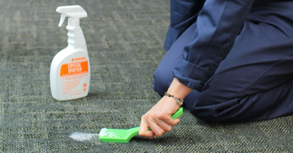 Choosing the Best Carpet Cleaning Chemicals