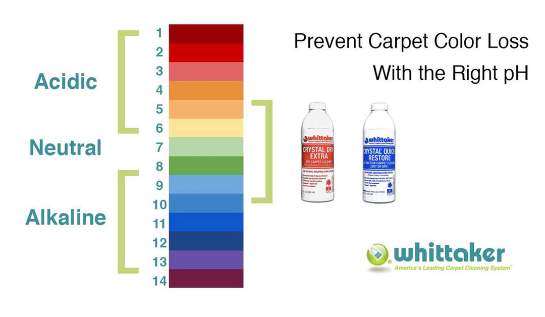 Pay Attention to the PH: Prevent Carpet Color Loss with the Right Cleaners