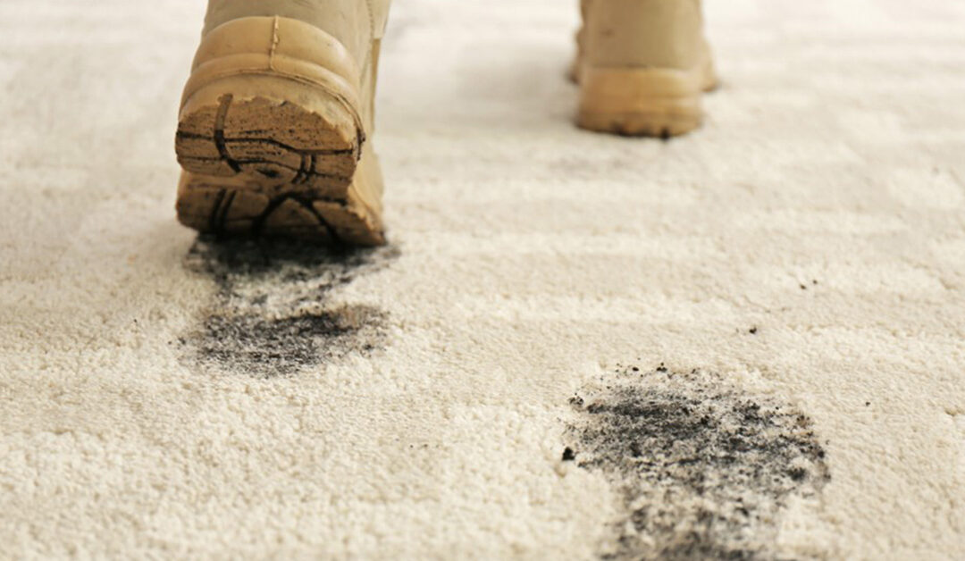 How To Identify Different Carpet Stain Types