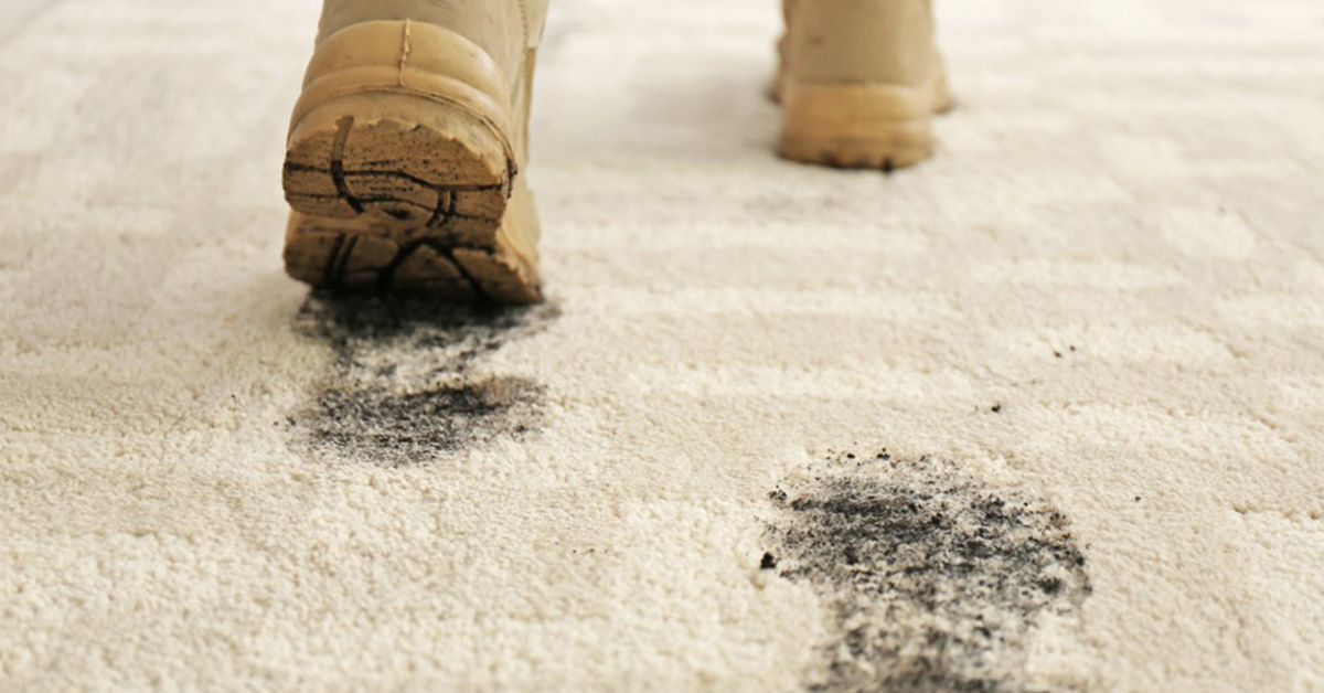 how to identify different carpet stain types