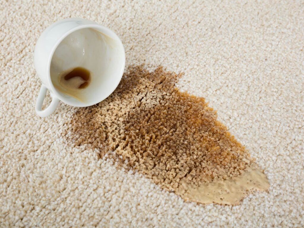 remove old coffee stains from carpet