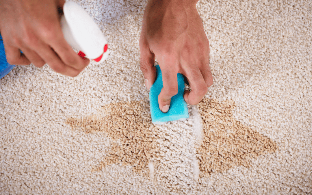 The Top 11 Professional Carpet Spot Removal Techniques You Must Know